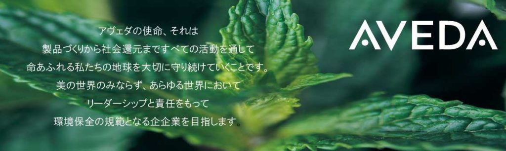 20100228_ペッパーミント-1170×350